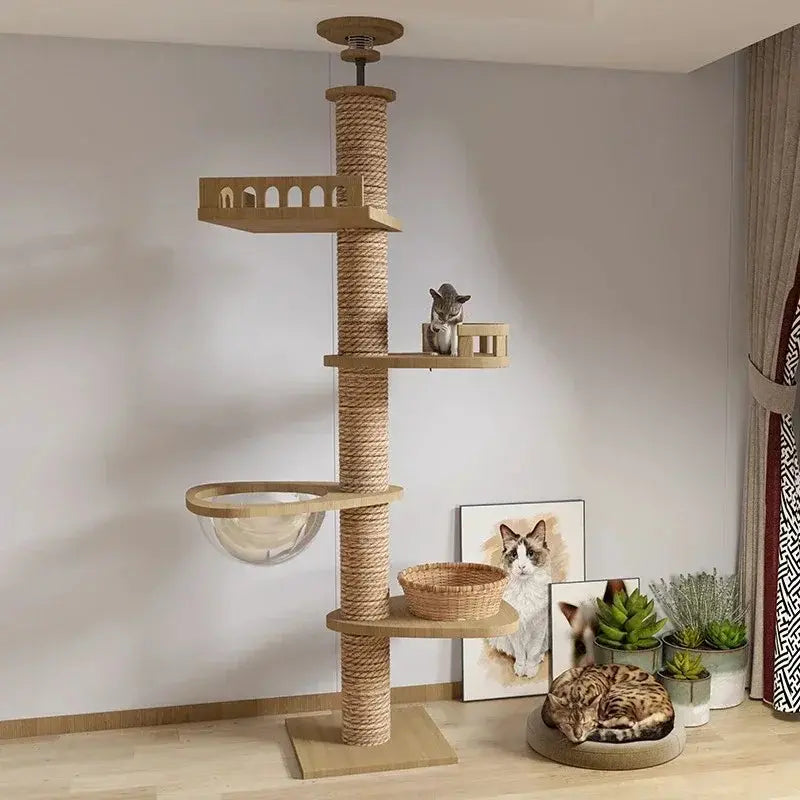 Arbre à Chat XXL en Bois Naturel 4 Modèles - Territoire Vertical Stable et Design | Miaou&Co