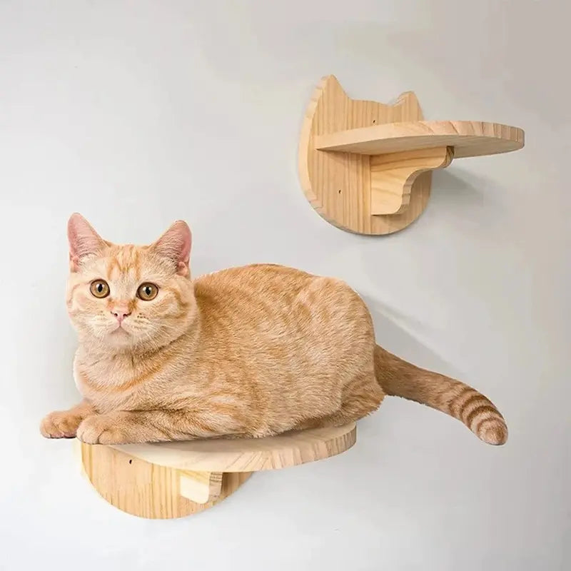 Arbre à Chat Mural Modulable 11 Modules - Étagères Hamacs et Griffoirs Gain de Place | Miaou&Co
