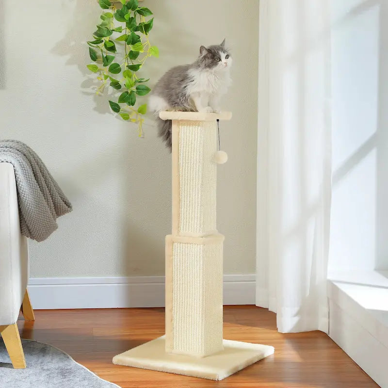 Grand Poteau à Gratter pour Chat 81cm - Base Large Ultra Stable pour Étirement Complet | Miaou&Co
