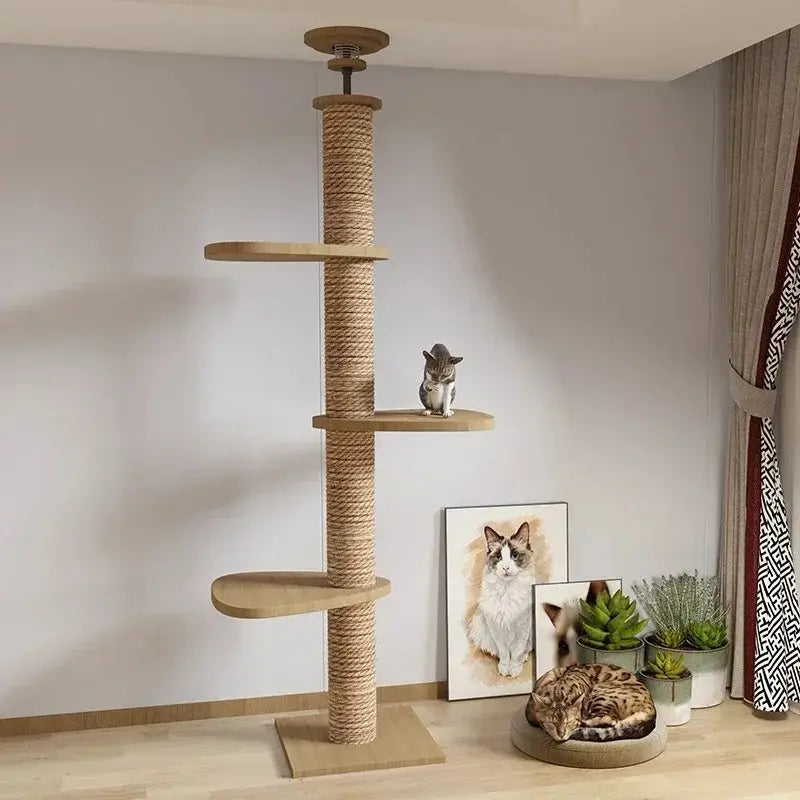 Arbre à Chat XXL en Bois Naturel 4 Modèles - Territoire Vertical Stable et Design | Miaou&Co