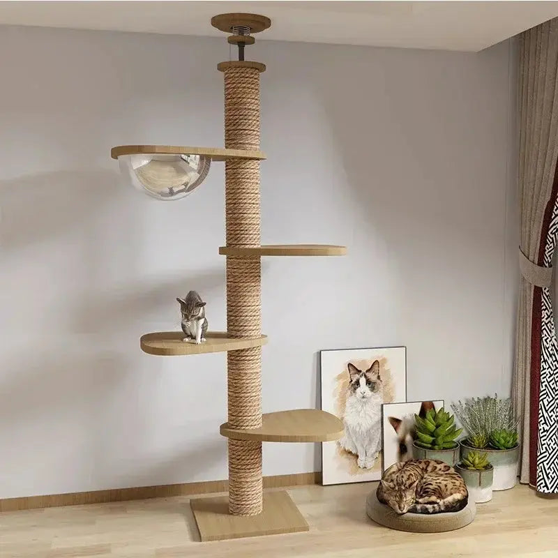 Arbre à Chat XXL en Bois Naturel 4 Modèles - Territoire Vertical Stable et Design | Miaou&Co