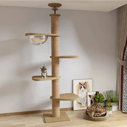 Arbre à Chat XXL en Bois Naturel 4 Modèles - Territoire Vertical Stable et Design | Miaou&Co