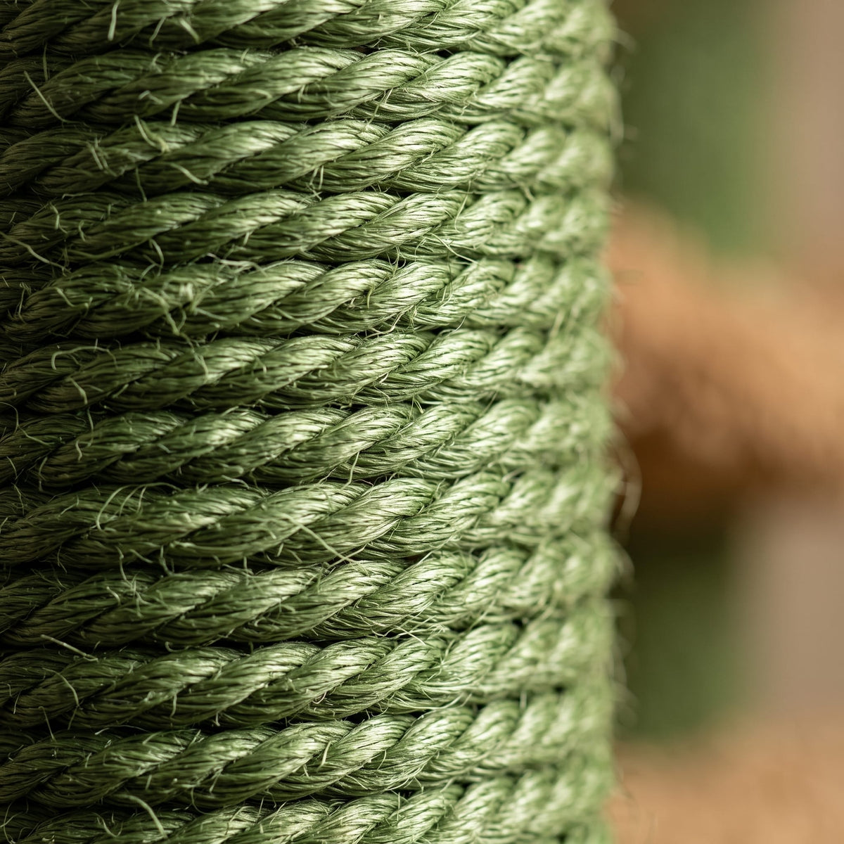 Miaou & Co Arbre à Chat Cactus avec Griffoir Sisal