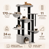 Miaou & Co Arbre à Chat Multi-Plateformes 7 Niveaux