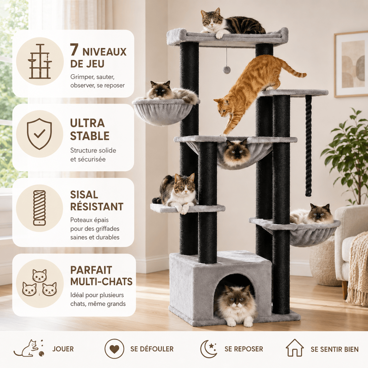 Miaou & Co Arbre à Chat Multi-Plateformes 7 Niveaux