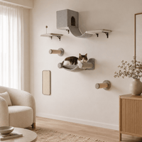 Miaou & Co Arbre à Chat Mural 6 Pièces