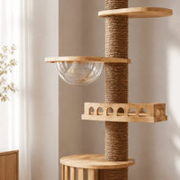 Miaou & Co Arbre à chat XXL du Sol au Plafond en Bois Naturel 4 Modèles