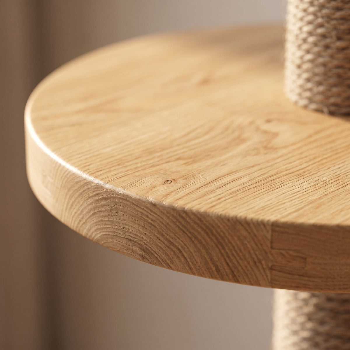 Miaou & Co Arbre à chat XXL du Sol au Plafond en Bois Naturel 4 Modèles