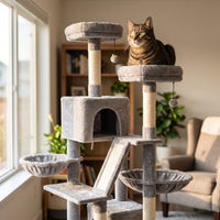 Miaou & Co Arbre à Chat XXL Solide - Grands Chats et Maine Coon