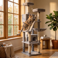 Miaou & Co Arbre à Chat XXL Solide - Grands Chats et Maine Coon