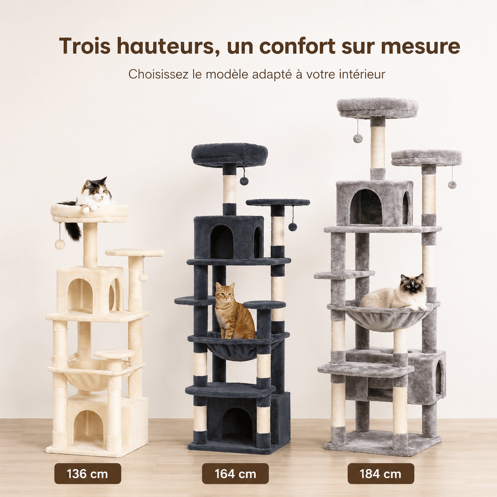 Miaou & Co Arbre à Chat XXL Solide - Grands Chats et Maine Coon
