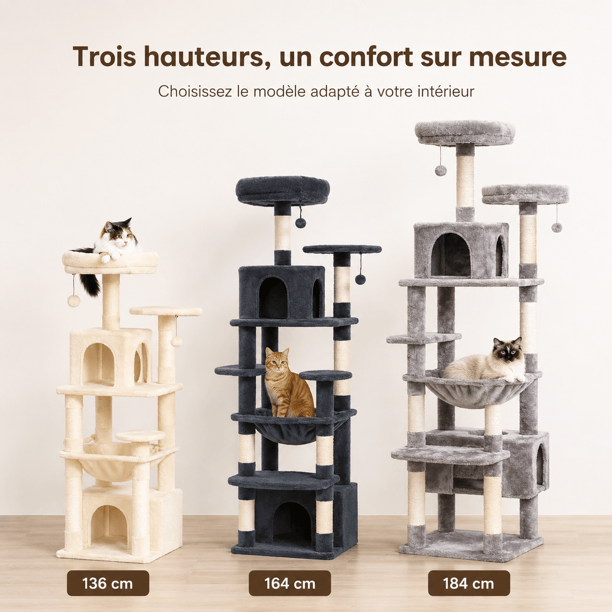 Miaou & Co Arbre à Chat XXL Solide - Grands Chats et Maine Coon