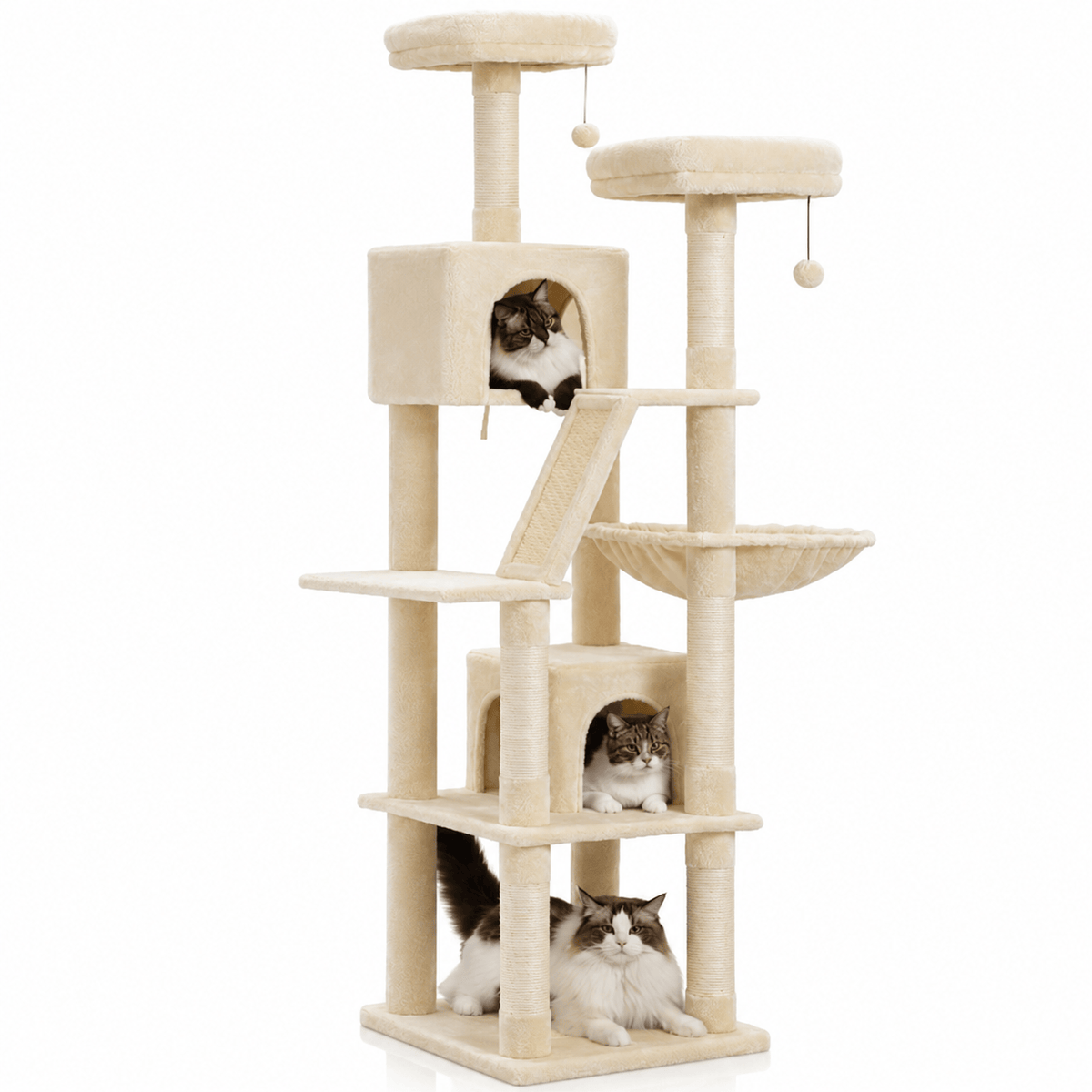 Miaou & Co Arbre à Chat XXL Solide - Grands Chats et Maine Coon