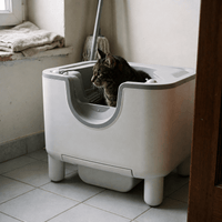 Miaou & Co Bac à Litière Autonettoyant pour Chat