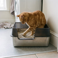 Miaou & Co Bac à Litière Chat Inox Anti-Odeur - Acier Inoxydable Hygiénique
