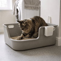 Miaou & Co Bac à Litière chat XXL - pour Grands Chats et Maine Coon