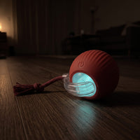 Miaou & Co Balle Interactive pour Chat - Rechargeable USB