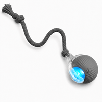 Miaou & Co Balle Interactive pour Chat Rechargeable USB
