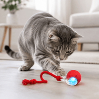 Miaou & Co Balle Interactive pour Chat Rechargeable USB