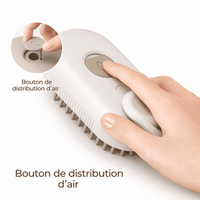 Miaou & Co Brosse à Vapeur pour Chat