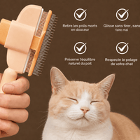 Miaou & Co Brosse Attrape Poils Chat