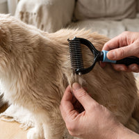 Miaou & Co Brosse Coupe Noeud Chat Poils Longs - Picots en Inox Anti-Nœuds