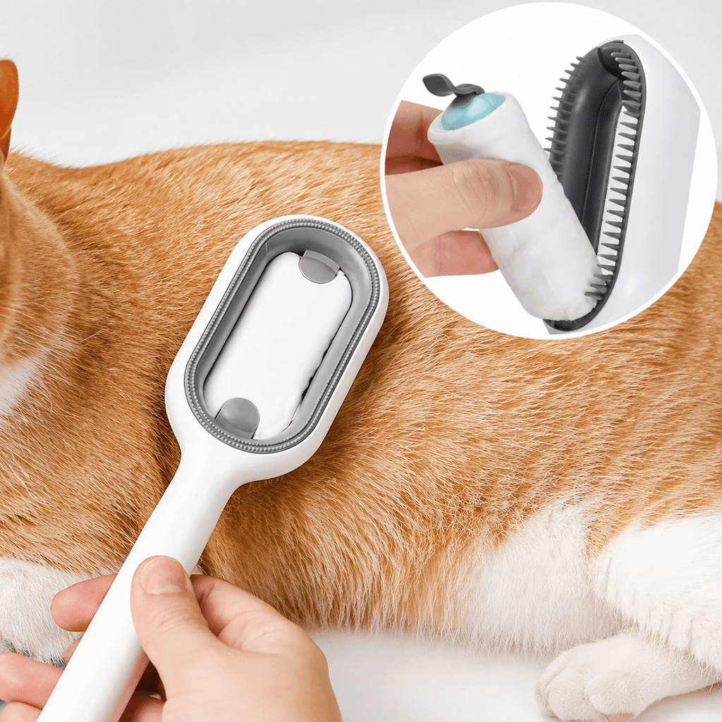 Miaou & Co Brosse pour Chat avec Réservoir d'Eau