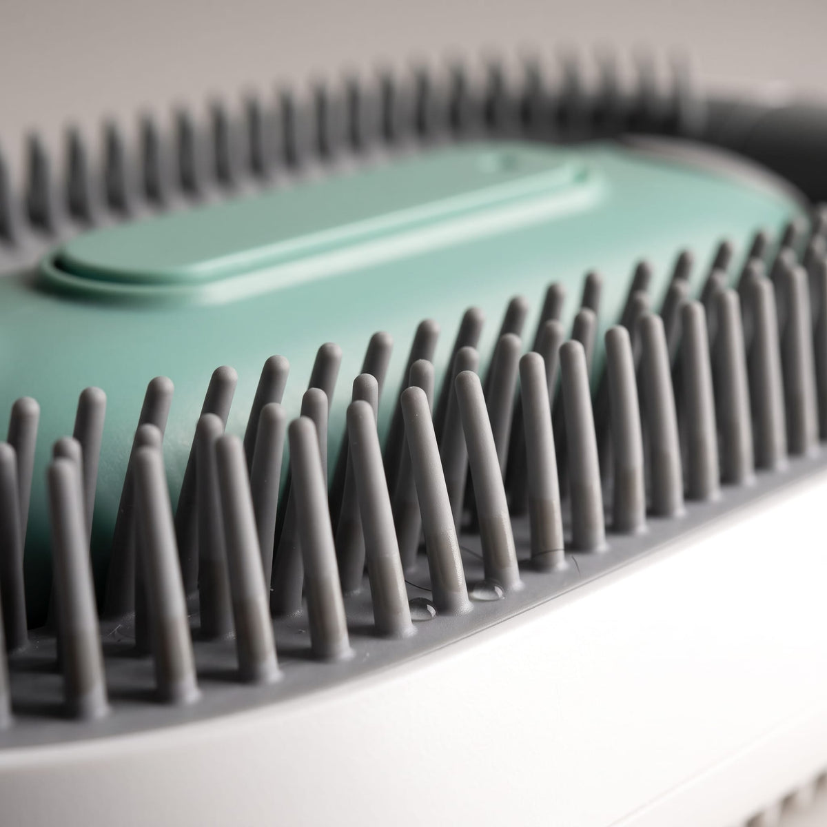 Miaou & Co Brosse pour Chat avec Réservoir d'Eau