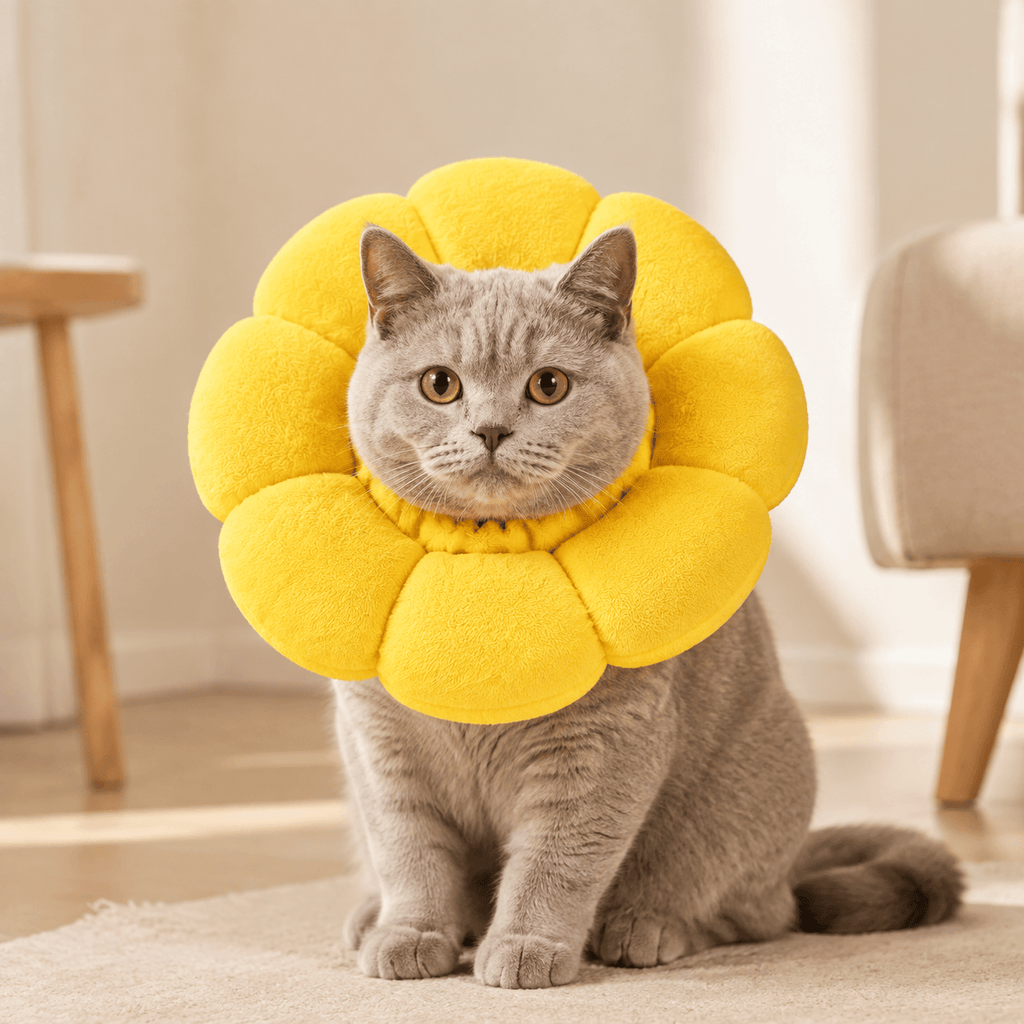 Miaou & Co Collerette Fleur Souple pour Chat en Cotton