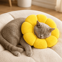 Miaou & Co Collerette Fleur Souple pour Chat en Cotton