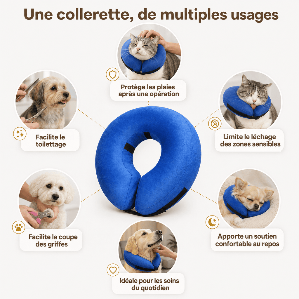 Miaou & Co Collerette Gonflable pour Chat