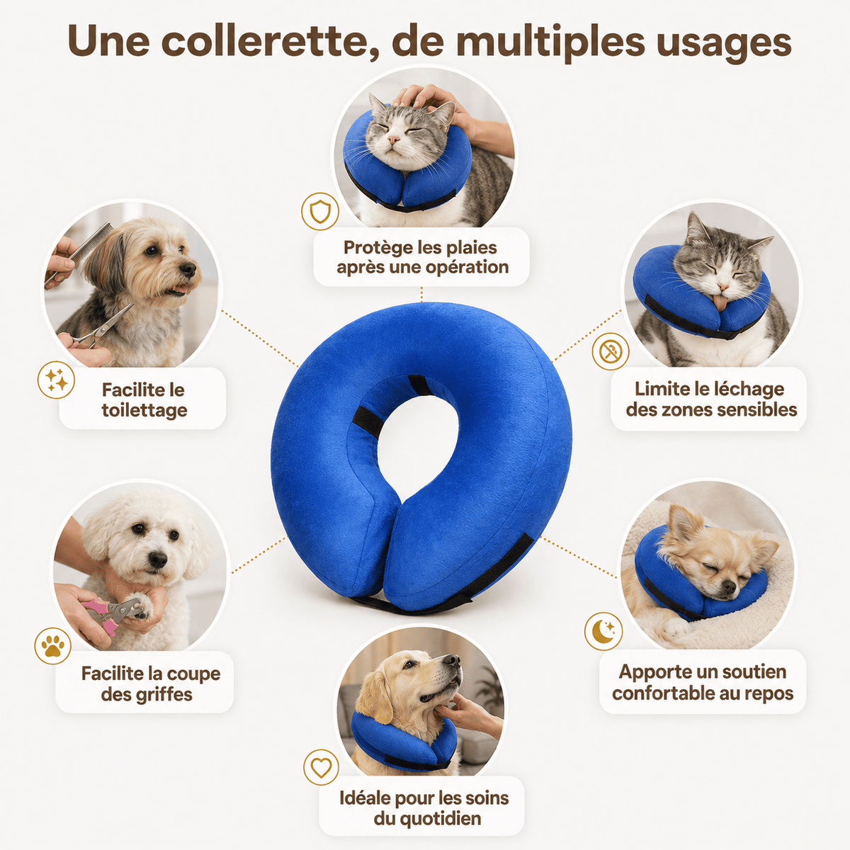 Miaou & Co Collerette Gonflable pour Chat
