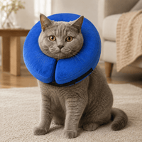 Miaou & Co Collerette Gonflable pour Chat
