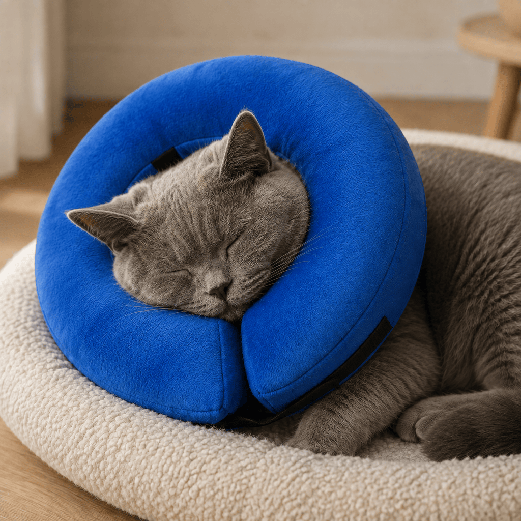 Miaou & Co Collerette Gonflable pour Chat