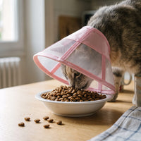 Miaou & Co Collerette Souple pour Chat Anti-Grattage en Tissu Respirant - Post-Opératoire