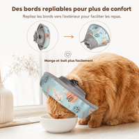 Miaou & Co Collerette Souple pour Chat en Polyester