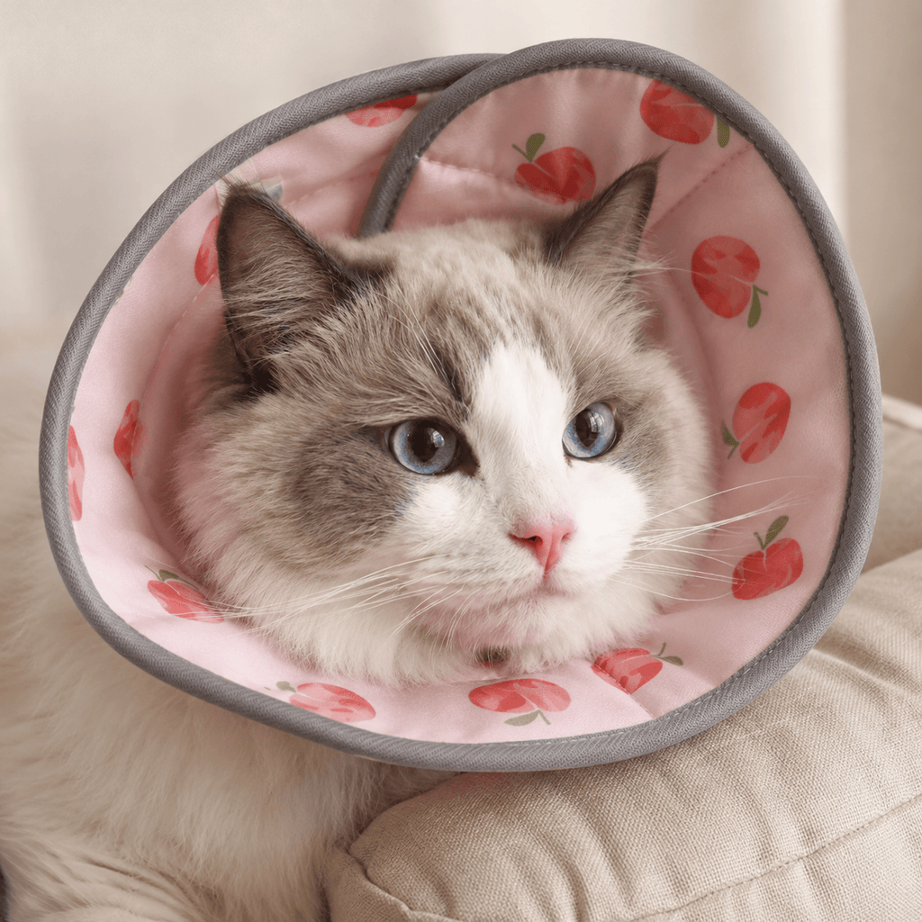 Miaou & Co Collerette Souple pour Chat en Polyester