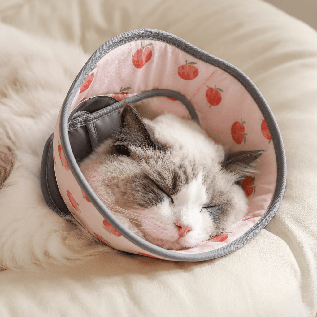 Miaou & Co Collerette Souple pour Chat en Polyester