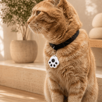 Miaou & Co Collier Chat Bluetooth