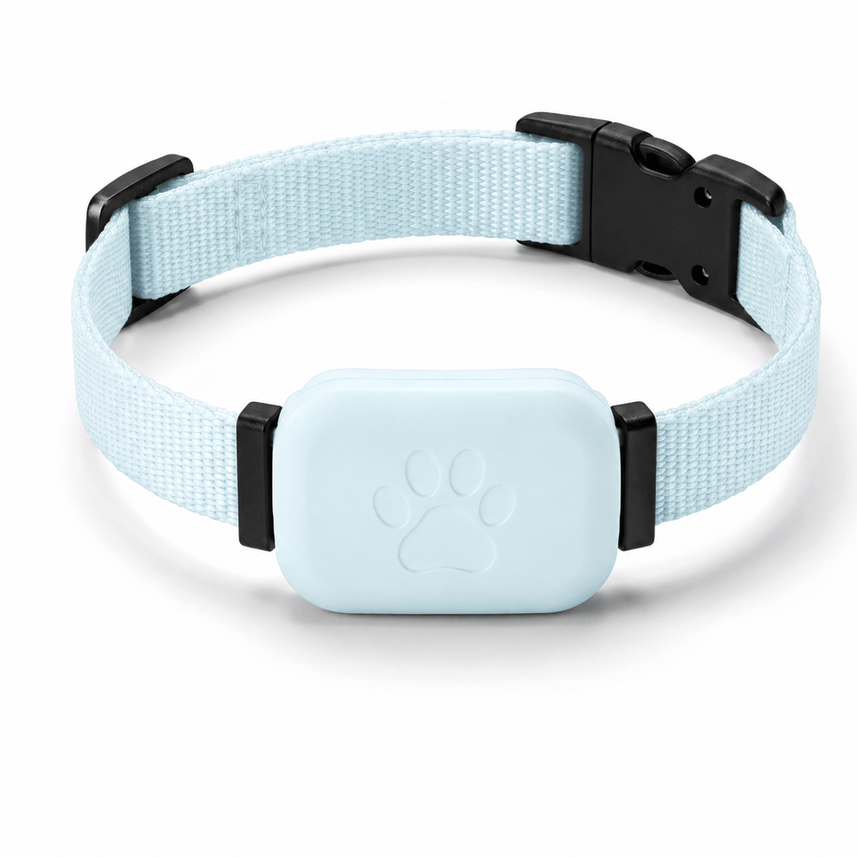 Miaou & Co Collier de Localisation GPS Chat sans Abonnement