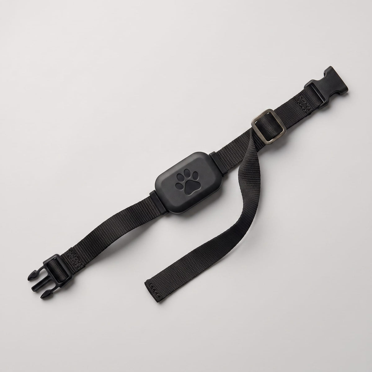 Miaou & Co Collier de Localisation GPS Chat sans Abonnement