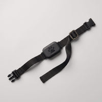 Miaou & Co Collier de Localisation GPS Chat sans Abonnement