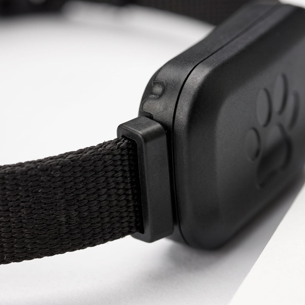Miaou & Co Collier de Localisation GPS Chat sans Abonnement