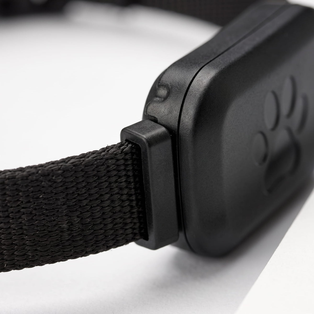 Miaou & Co Collier de Localisation GPS Chat sans Abonnement