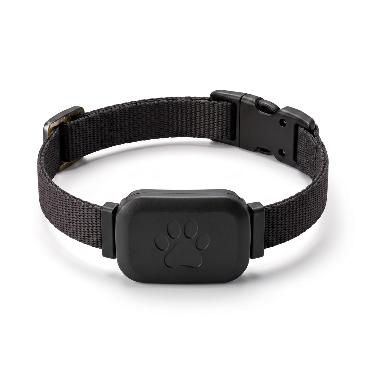 Miaou & Co Collier de Localisation GPS Chat sans Abonnement