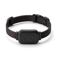 Miaou & Co Collier de Localisation GPS Chat sans Abonnement