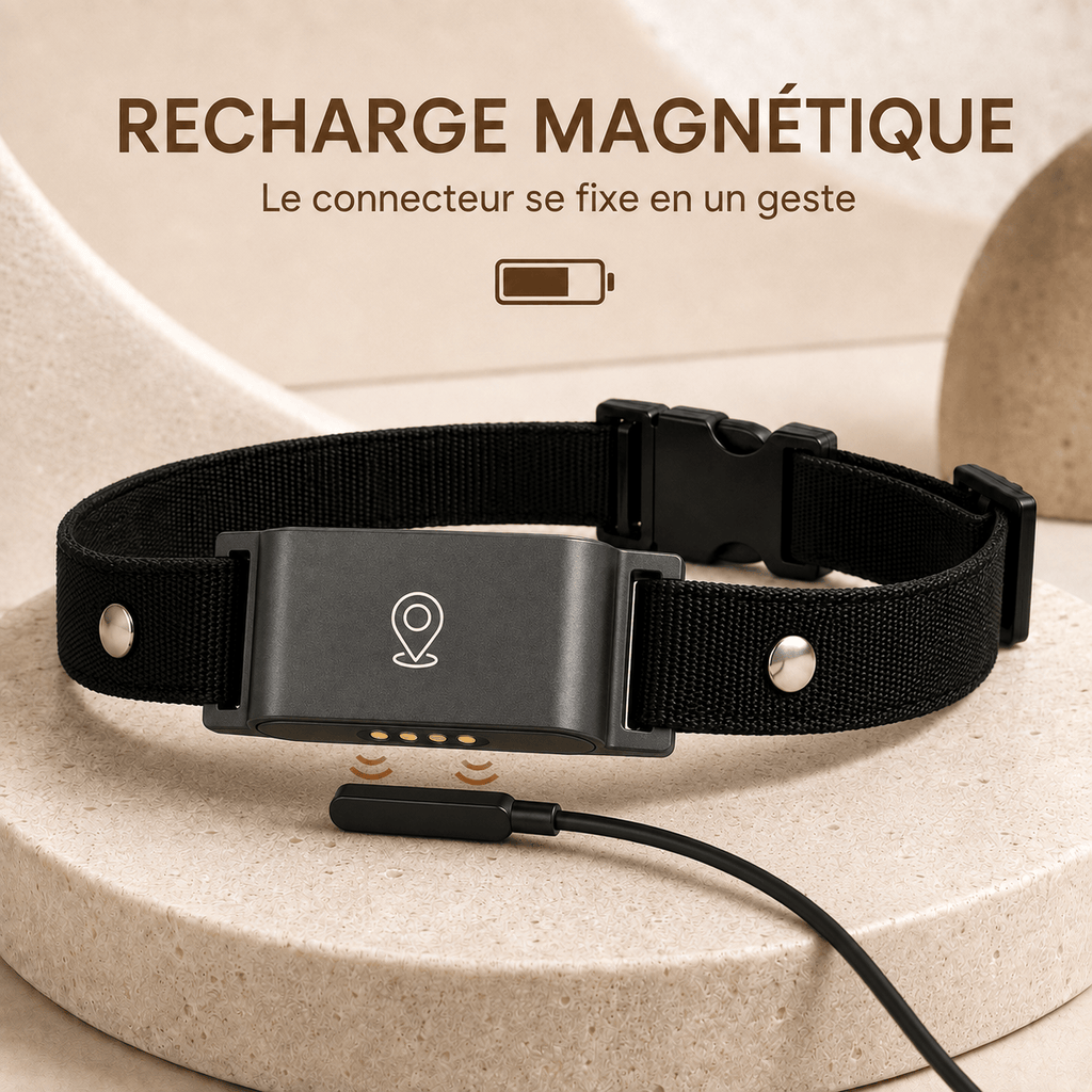 Miaou & Co Collier Gps pour Chat sans Abonnement