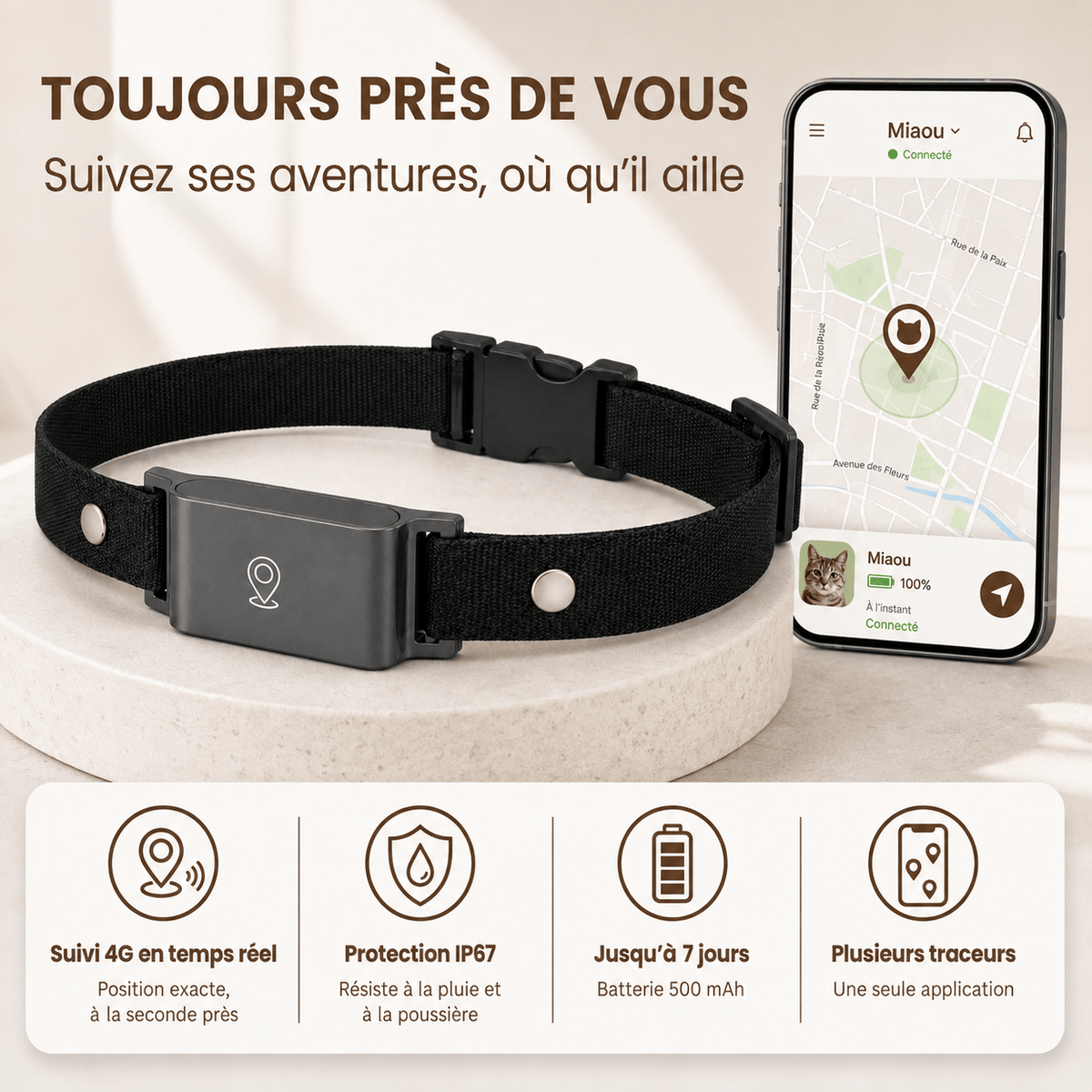 Miaou & Co Collier Gps pour Chat sans Abonnement