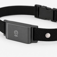 Miaou & Co Collier Gps pour Chat sans Abonnement