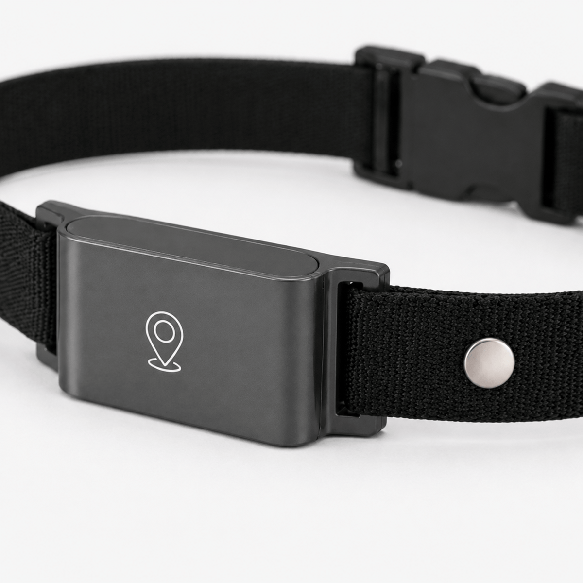 Miaou & Co Collier Gps pour Chat sans Abonnement